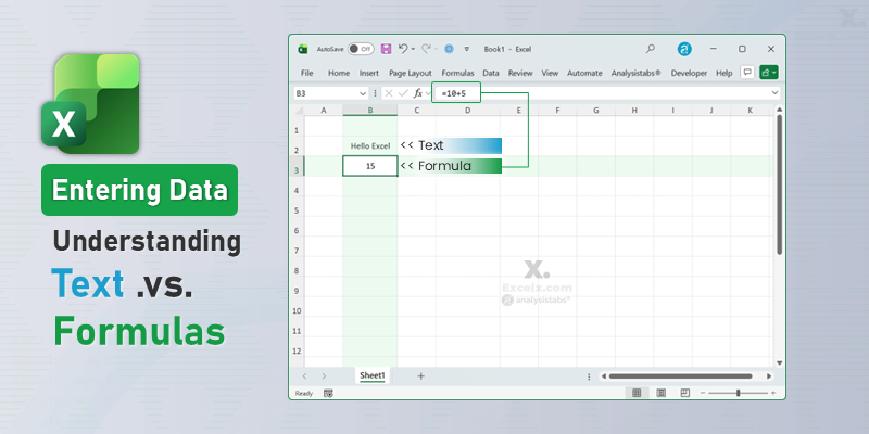 Entering Data in Excel Understanding Text vs Formulas